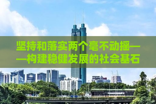 坚持和落实两个毫不动摇——构建稳健发展的社会基石